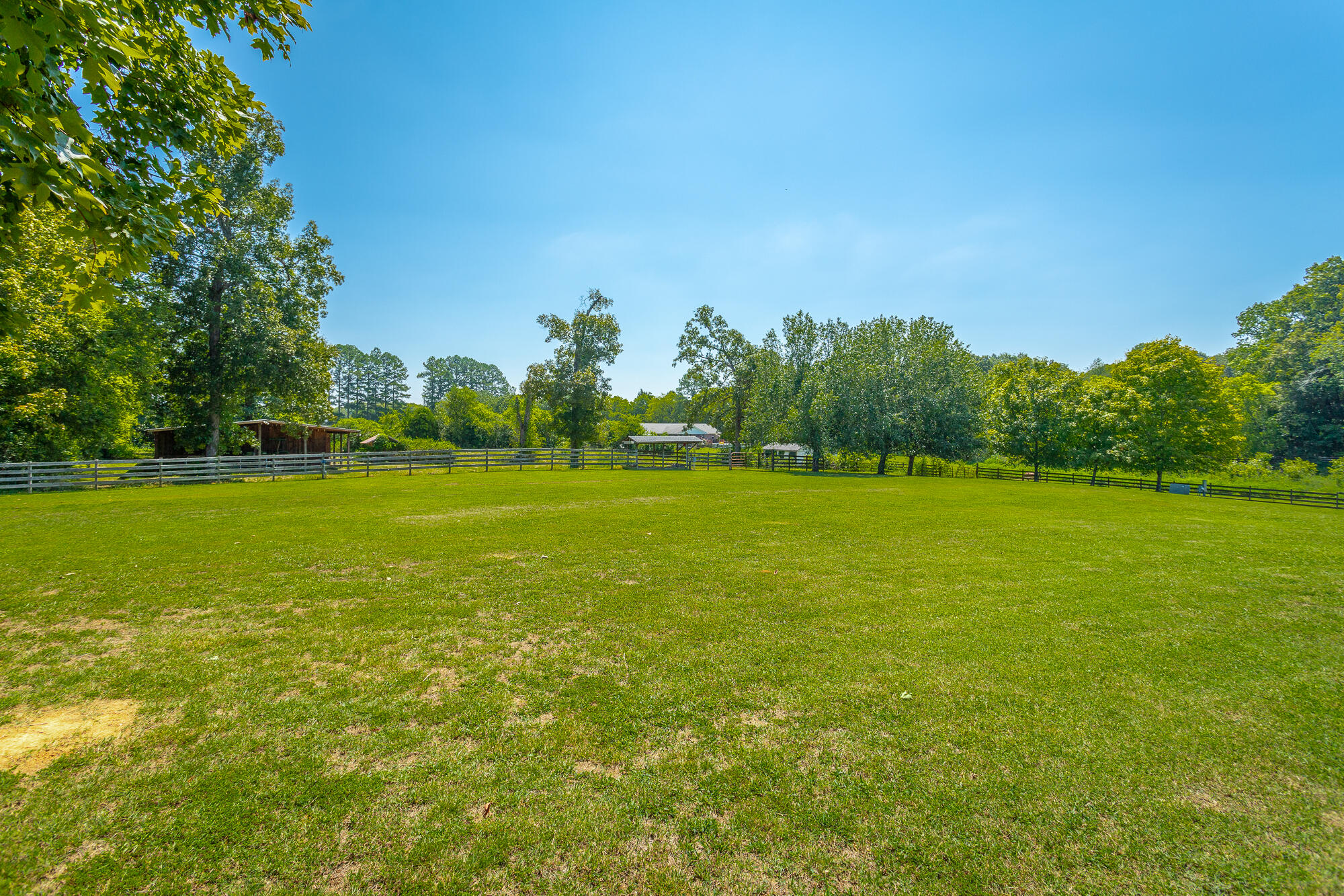 1431 Farming Rock Road Chickamauga, GA 30707 - Photo 53 of 59 Backyard