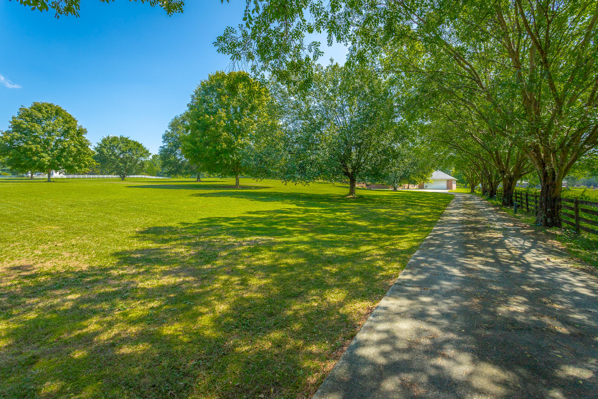 1431 Farming Rock Road Chickamauga, GA 30707 - Photo 7 of 59 Driveway/front yard
