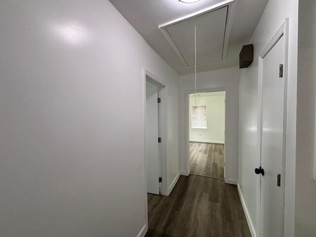 641 Ellington Avenue Thomson, GA 30824 - Photo 18 of 22 IMG_5320