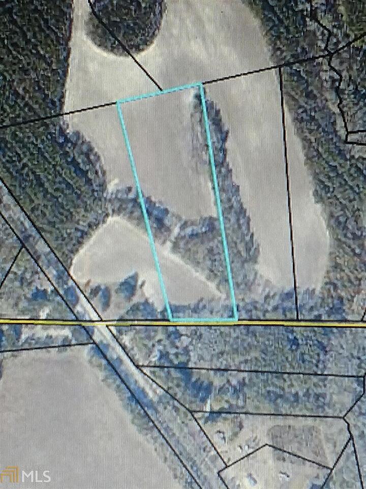 0 Lorenzo Hurst Road Springfield, GA 31329 - Photo 1 of 1