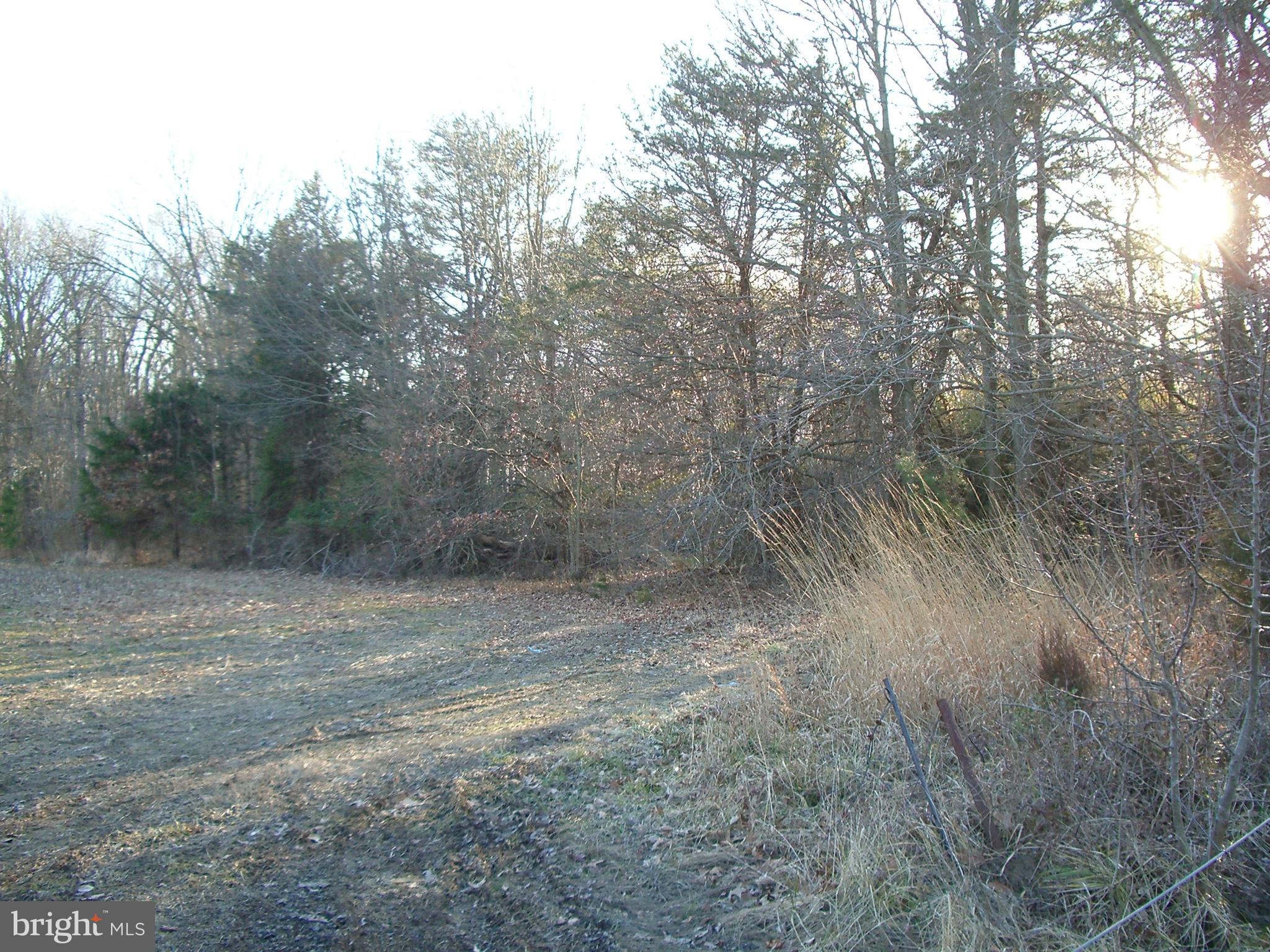 1406 West River Road Shady Side, MD 20764 - Photo 2 of 7 Gallery Image 2