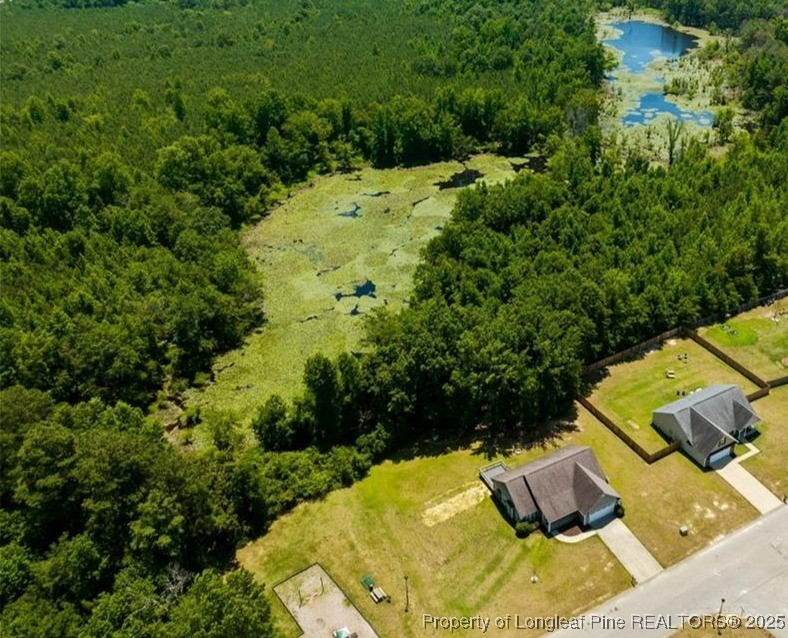 203 United Road Raeford, NC 28376 - Photo 33 of 36 a view of backyard with swimming pool