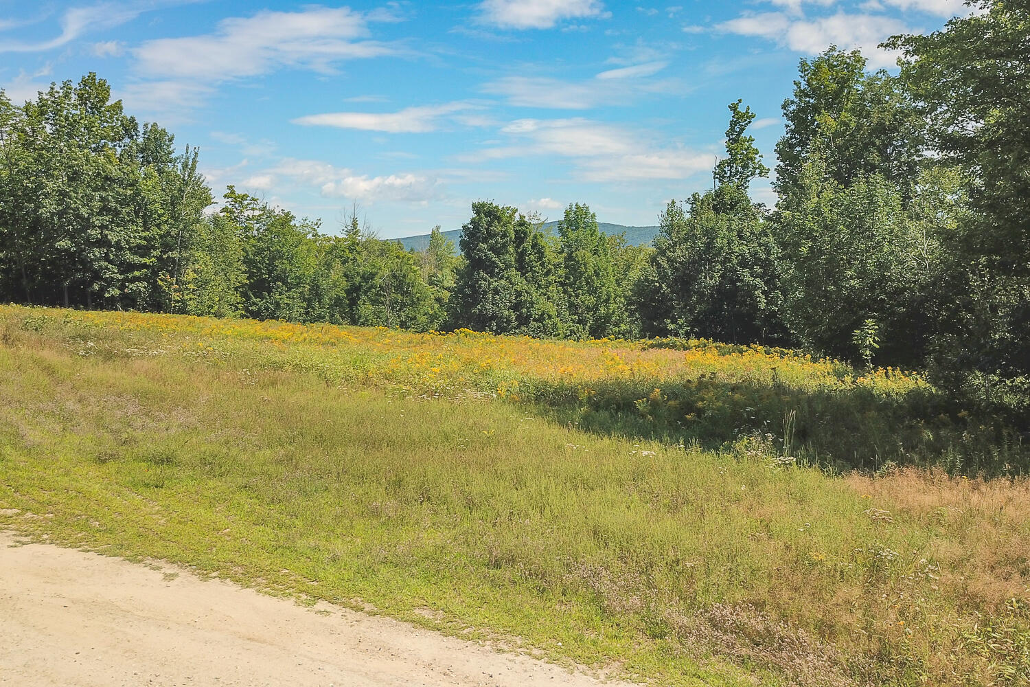 Tbd Daisy Bryant Road Bethel, ME 04217 - Photo 5 of 28 Locke Mtn Rd Bethel 04-(ZF-9778-14346-1-
