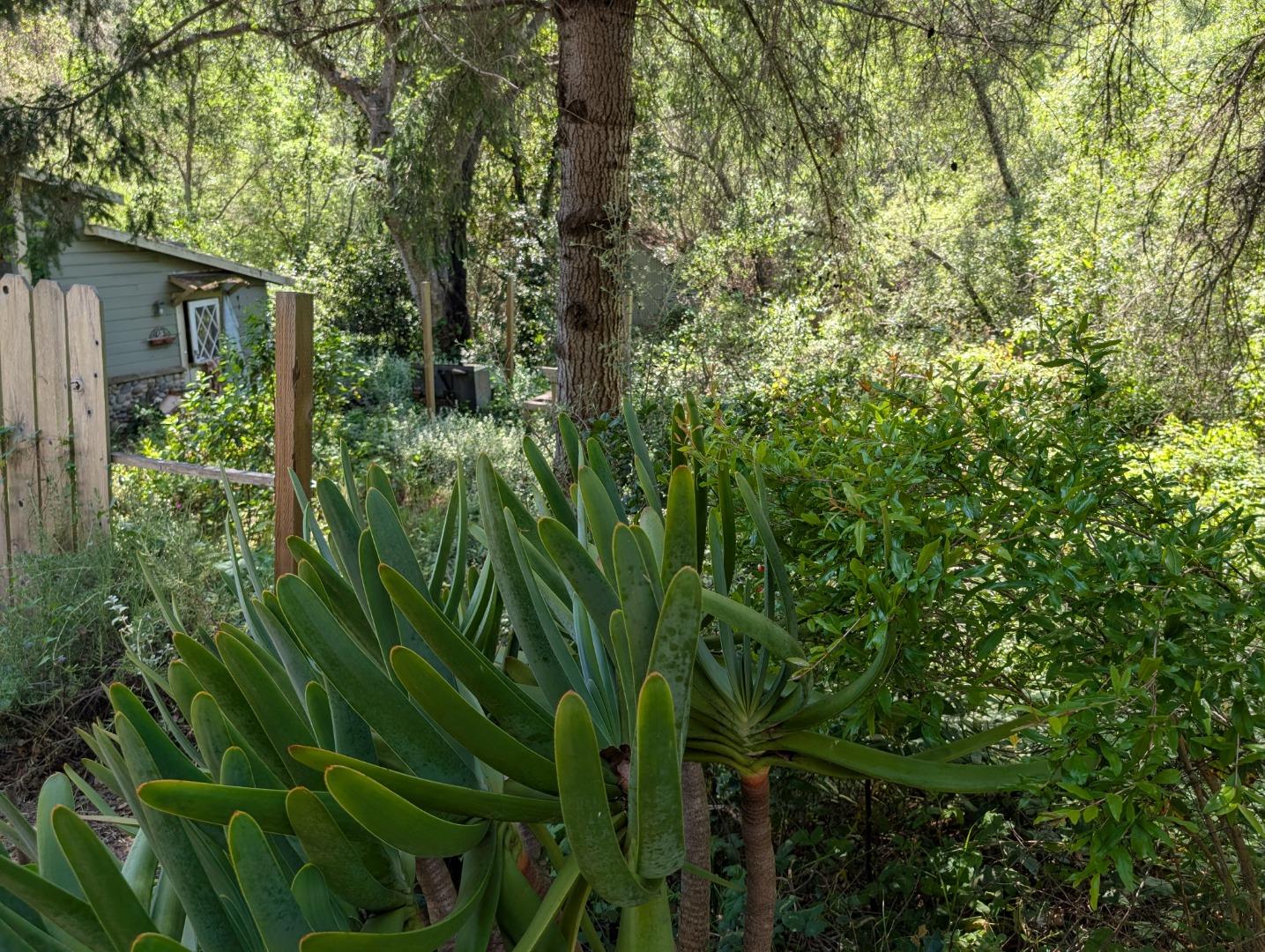 4576 Paul Sweet Road Santa Cruz, CA 95065 - Photo 17 of 29 a view of a house with a tree