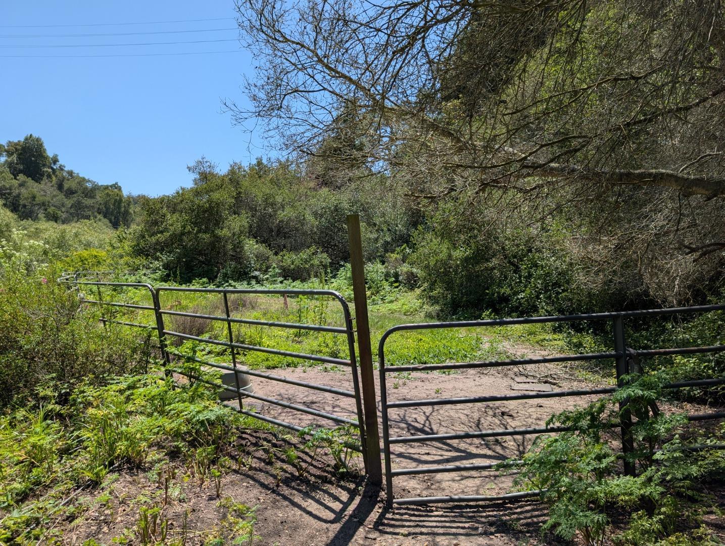 4576 Paul Sweet Road Santa Cruz, CA 95065 - Photo 5 of 29 a view of a yard with wooden fence