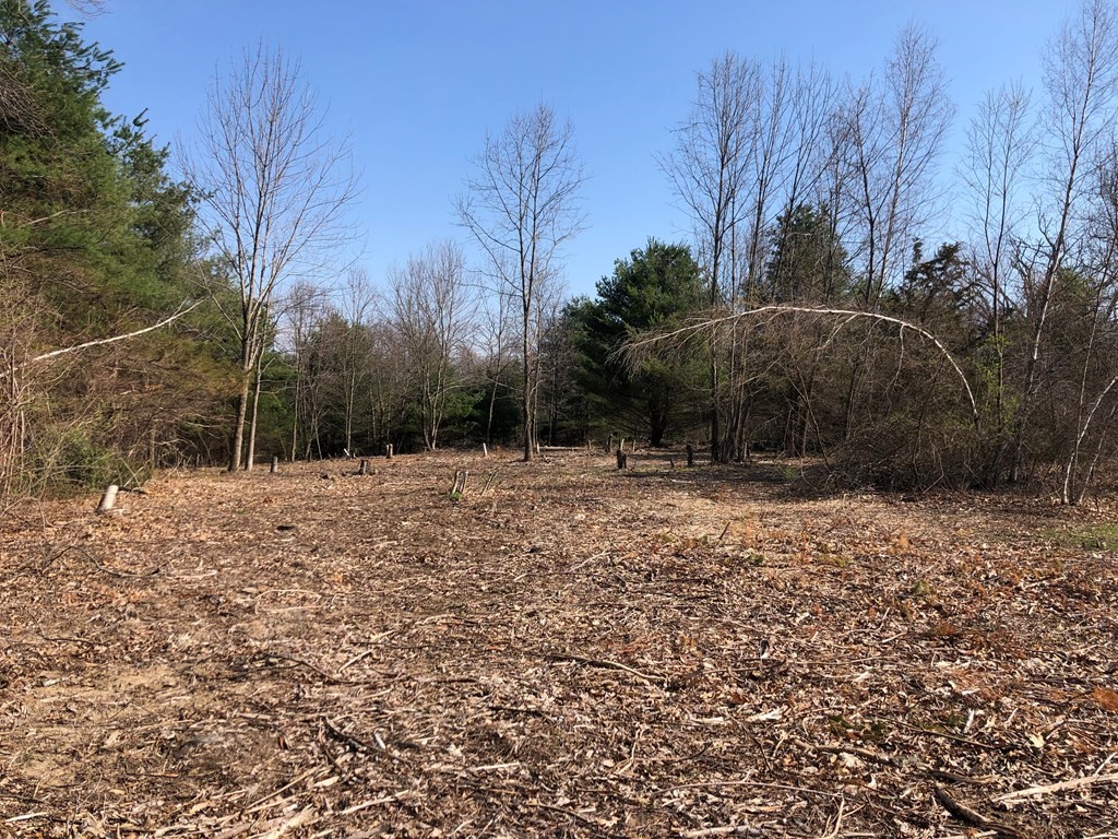 0 Beebe Road Monson, MA 01057 - Photo 1 of 8