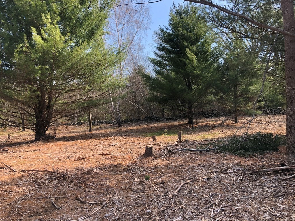0 Beebe Road Monson, MA 01057 - Photo 4 of 8