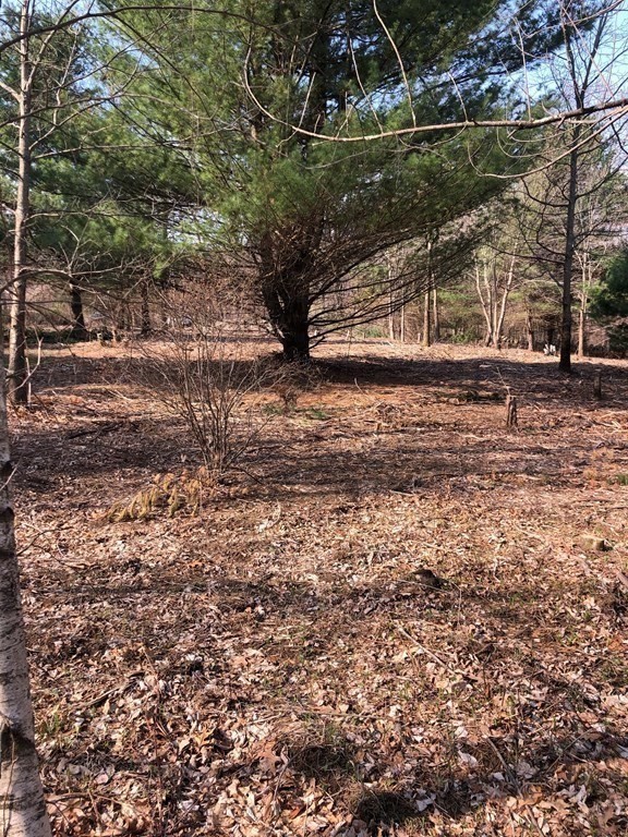 0 Beebe Road Monson, MA 01057 - Photo 6 of 8