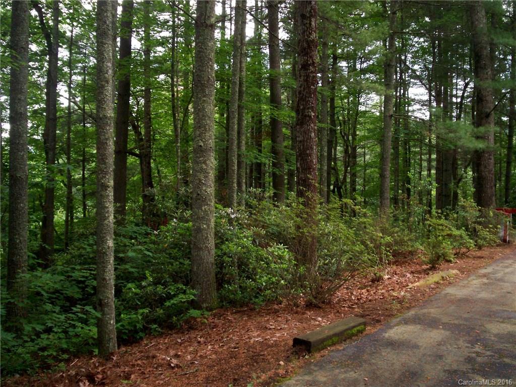 366 Tiptop Road, Unit 11 Brevard, NC 28712 - Photo 17 of 20 Gallery Image 17