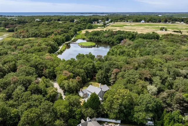 a view of a lush green field with lots of plants