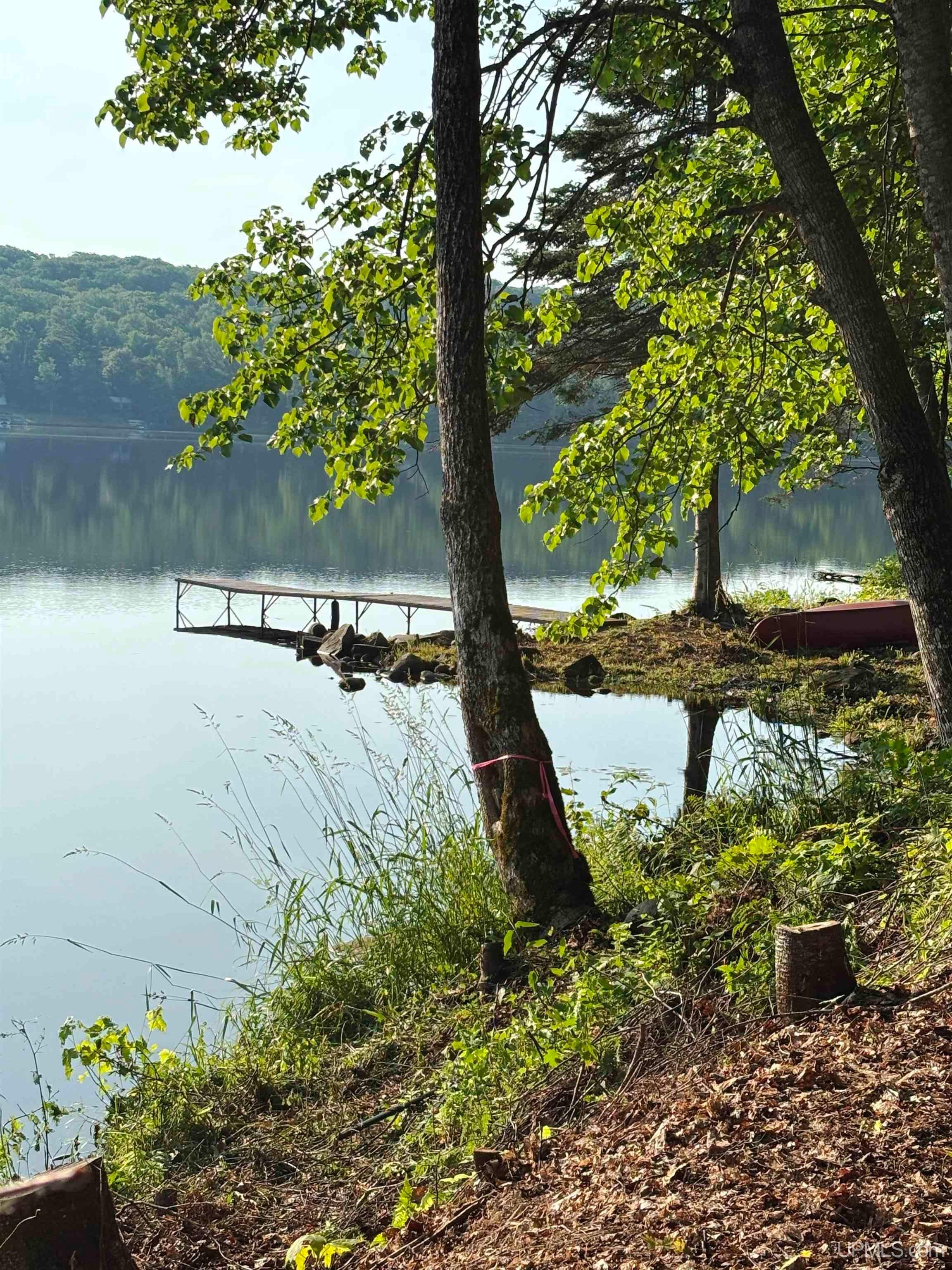 Tbd West Tamarack Lake Road, Unit LOT 5 Watersmeet, MI 49969 - Photo 8 of 66