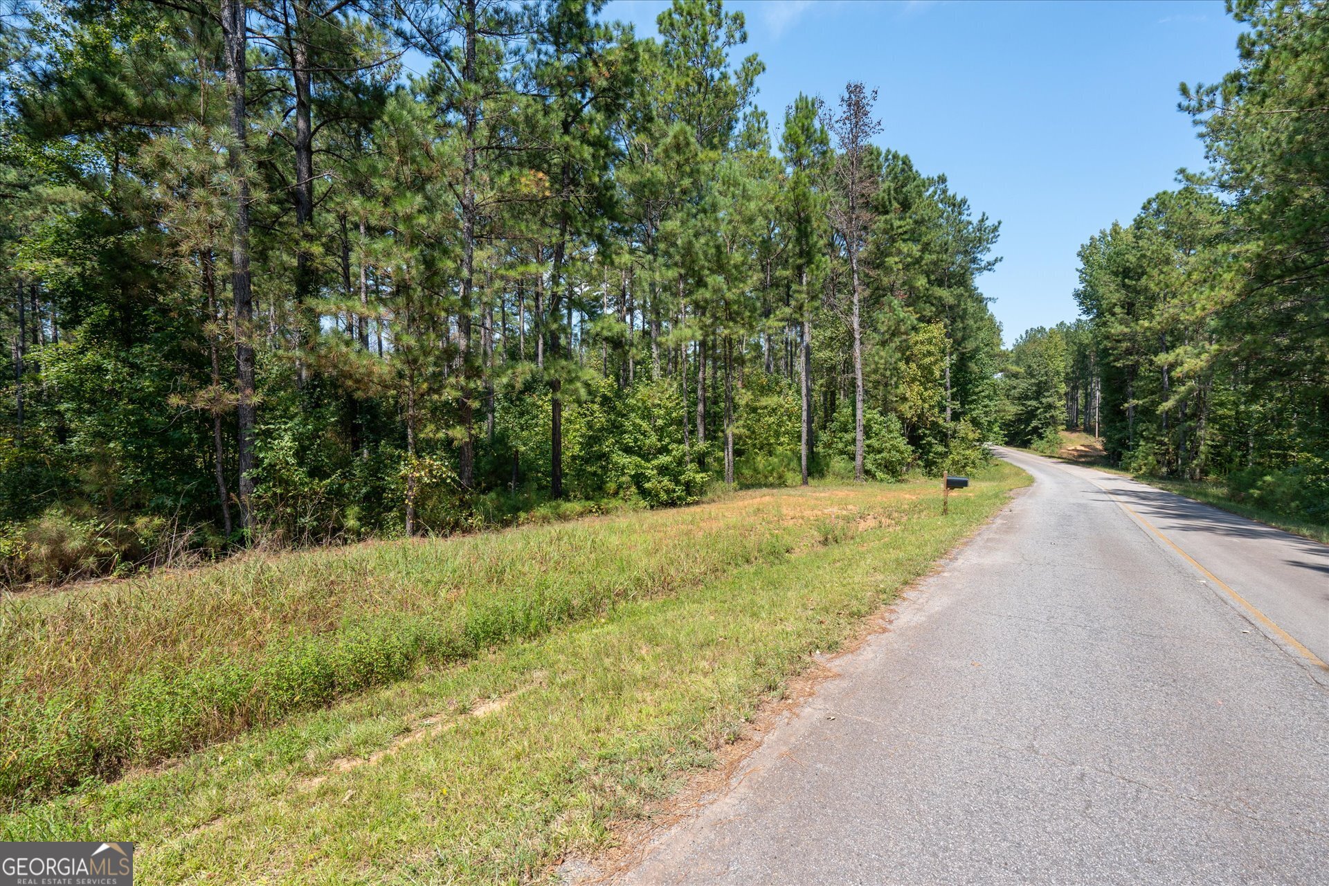 a view of a yard with plants and trees