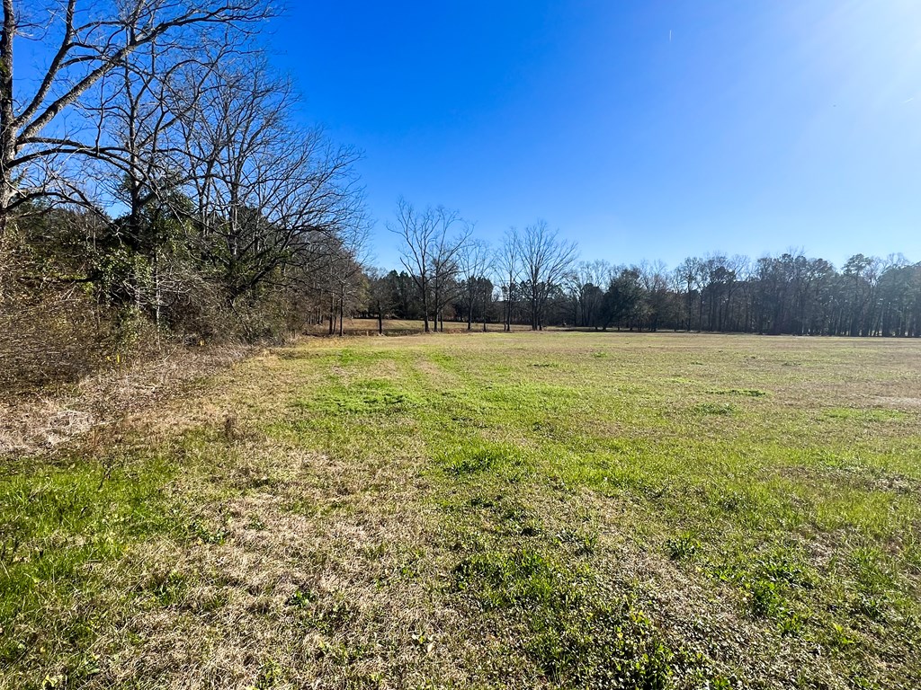 5455 Co Road Slocomb, AL 36375 - Photo 6 of 8
