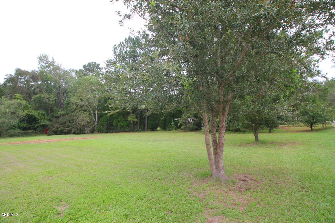 3557 St Ellen Road Leakesville, MS 39451 - Photo 38 of 42 5 (2)