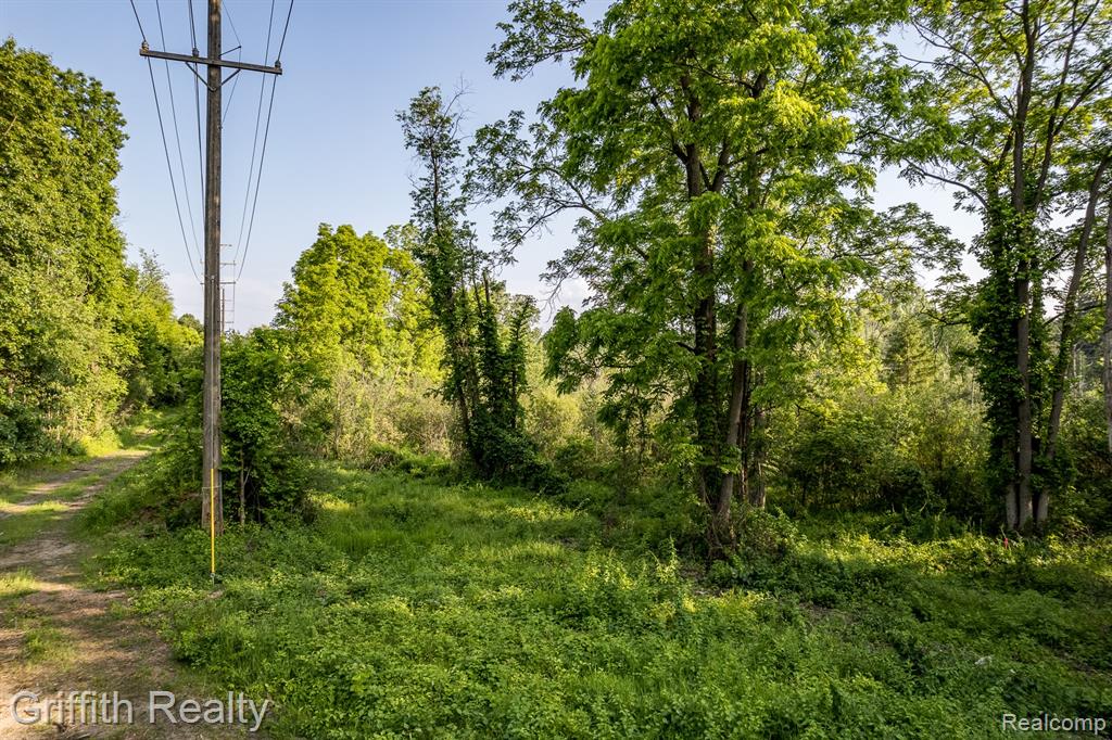 4433 Brighton Road Howell, MI 48843 - Photo 12 of 29