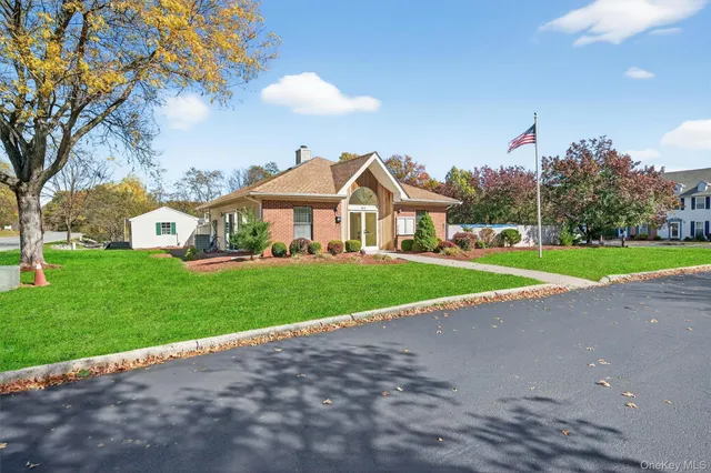 a view of a park with plants and a park