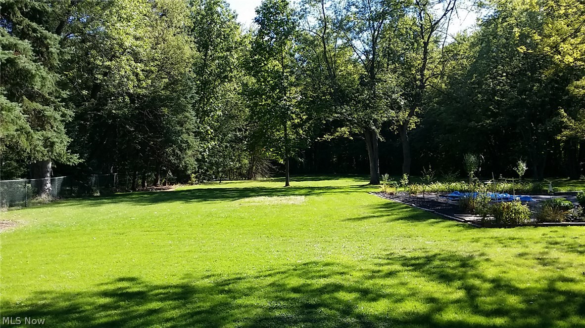31400 Miles Road Solon, OH 44139 - Photo 10 of 16 View from back patio Late summer