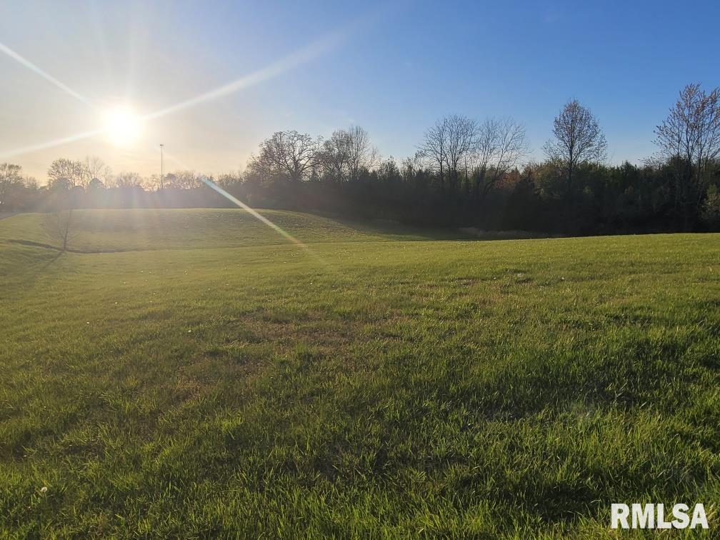 0 East Maple Street McLeansboro, IL 62859 - Photo 2 of 6