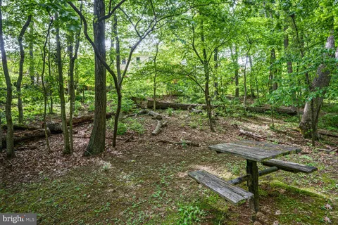 a view of a house with a small yard and a large tree