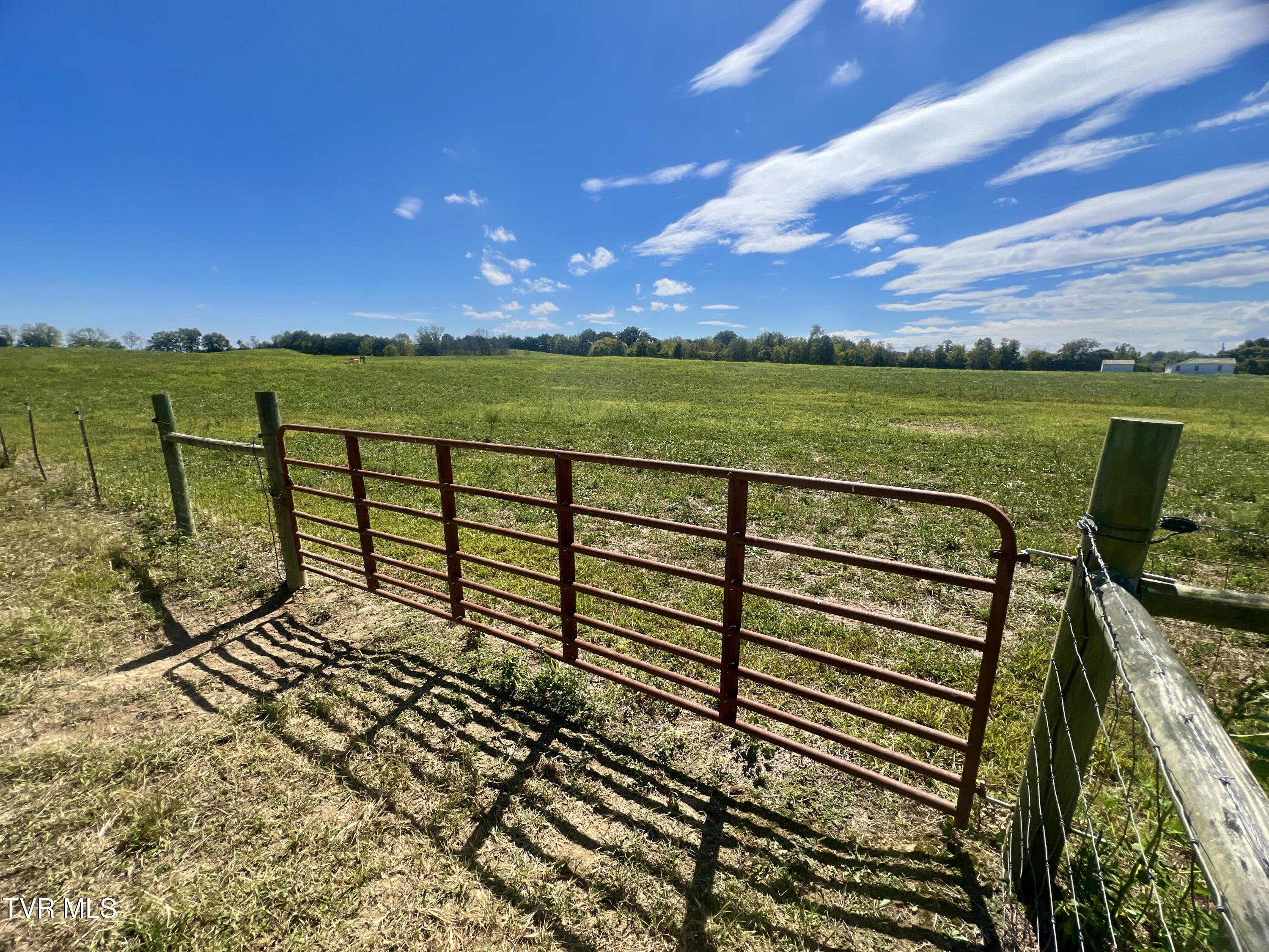 1550 Mt Hope Road, Unit 1 Mohawk, TN 37810 - Photo 74 of 113 _Pic73 (10)