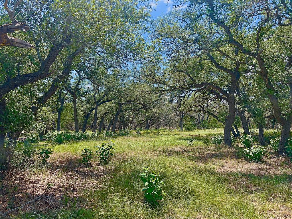 1366 Narrows Road, Unit 1 Blanco, TX 78606 - Photo 9 of 29
