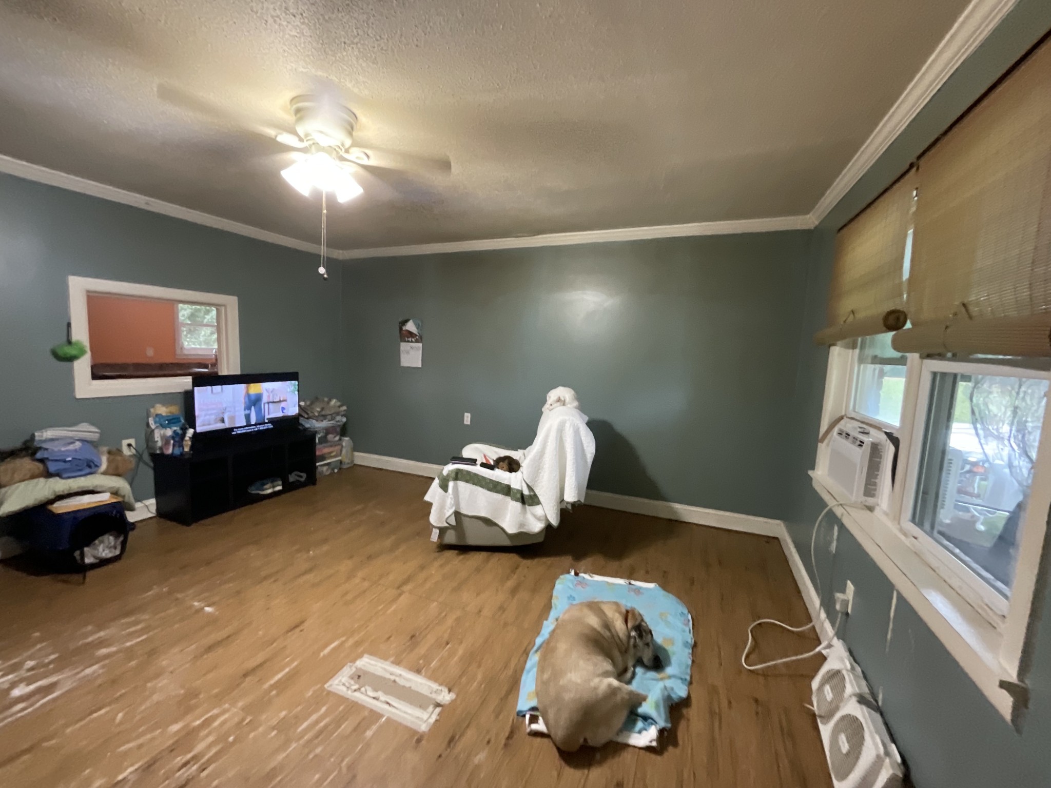 320 Double Bridges Road Munford, TN 38058 - Photo 6 of 15 Gallery Image 6