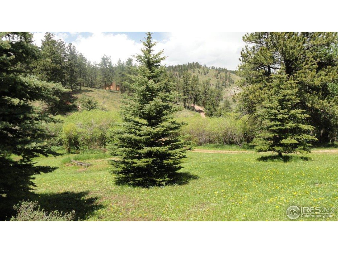 851 Beartrap Road Red Feather Lakes, CO 80545 - Photo 11 of 14 Gallery Image 11