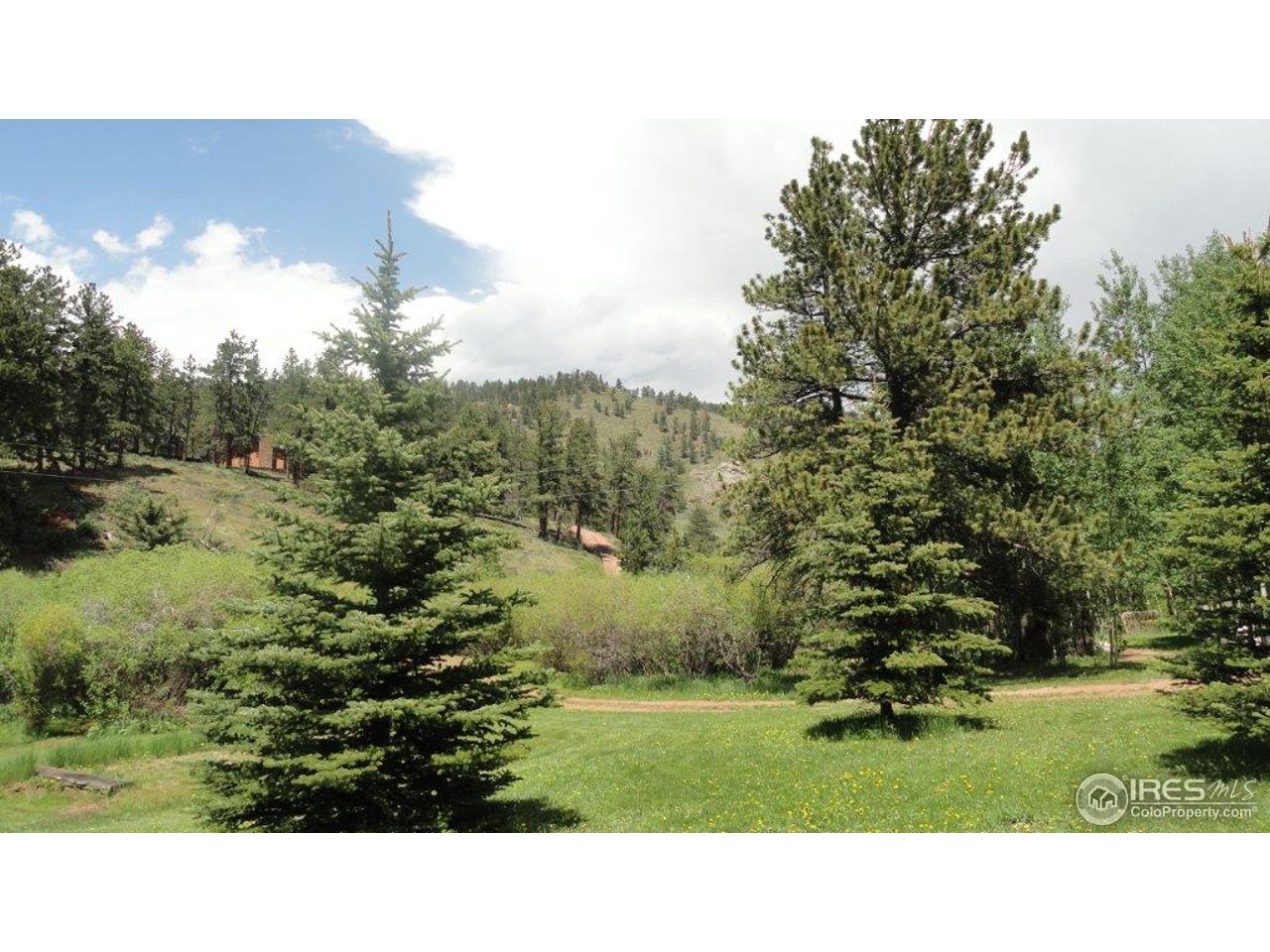 851 Beartrap Road Red Feather Lakes, CO 80545 - Photo 12 of 14 Gallery Image 12