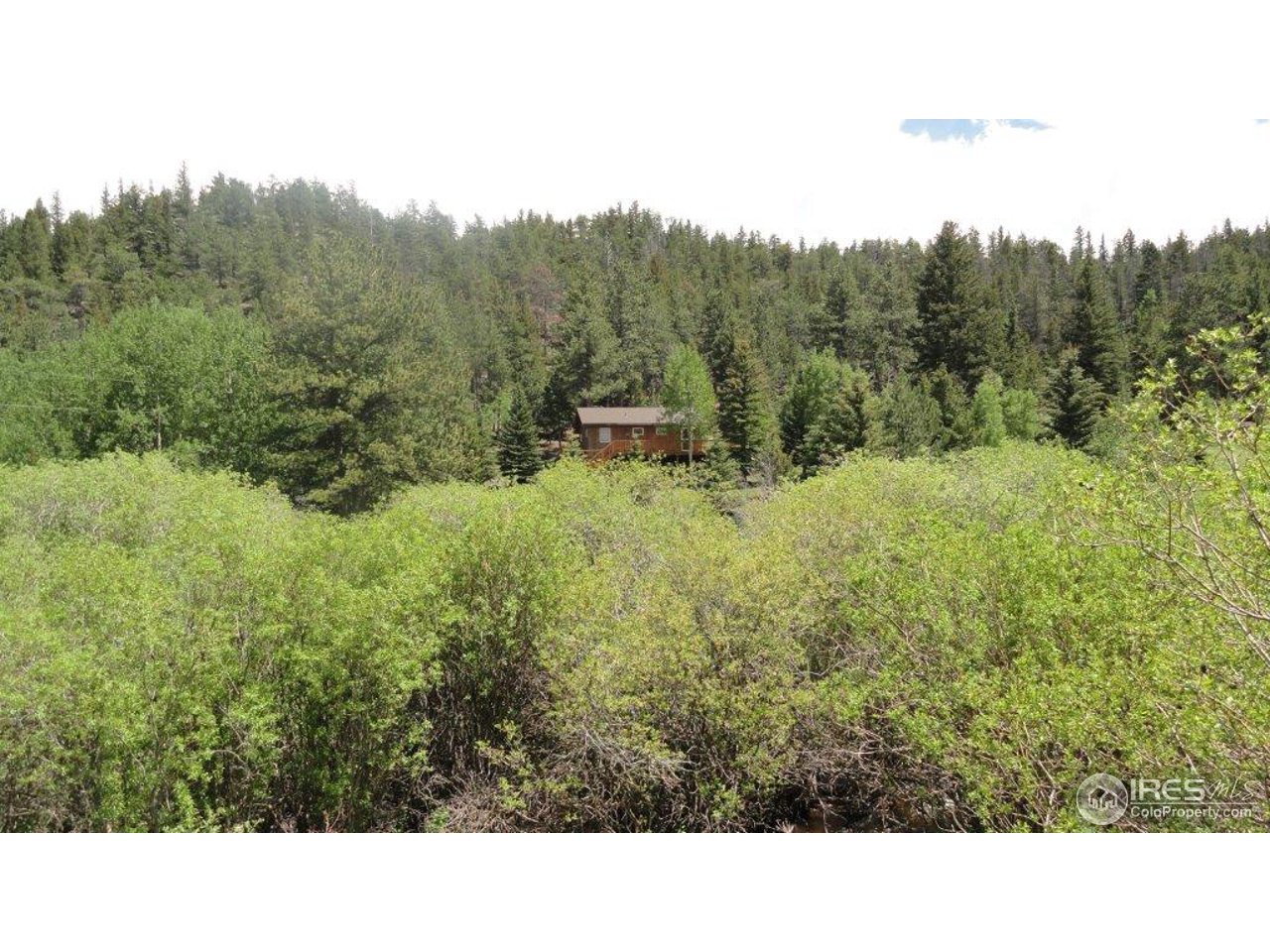 851 Beartrap Road Red Feather Lakes, CO 80545 - Photo 2 of 14 Gallery Image 2