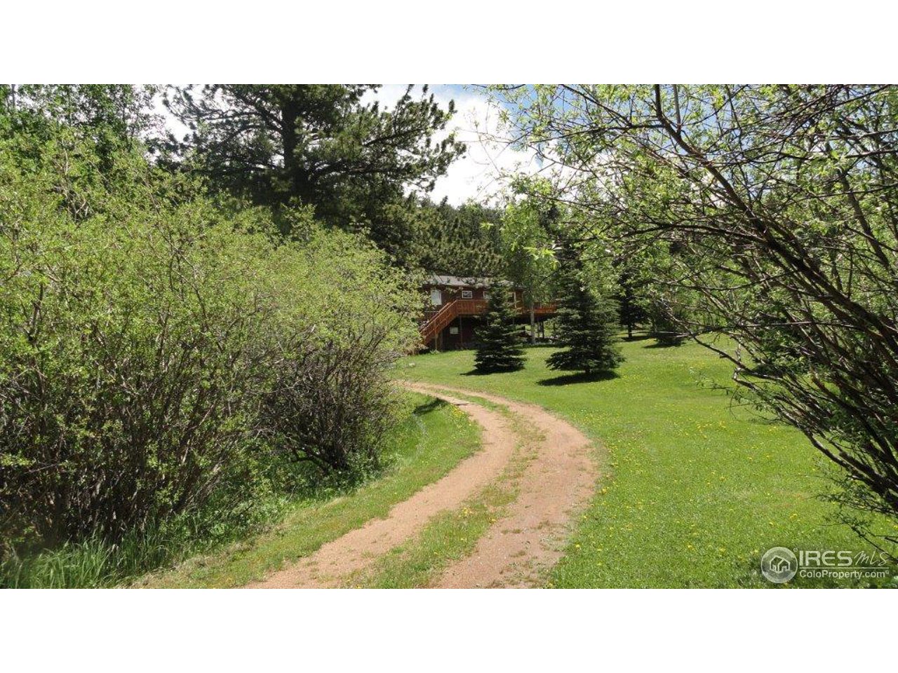 851 Beartrap Road Red Feather Lakes, CO 80545 - Photo 3 of 14 Gallery Image 3