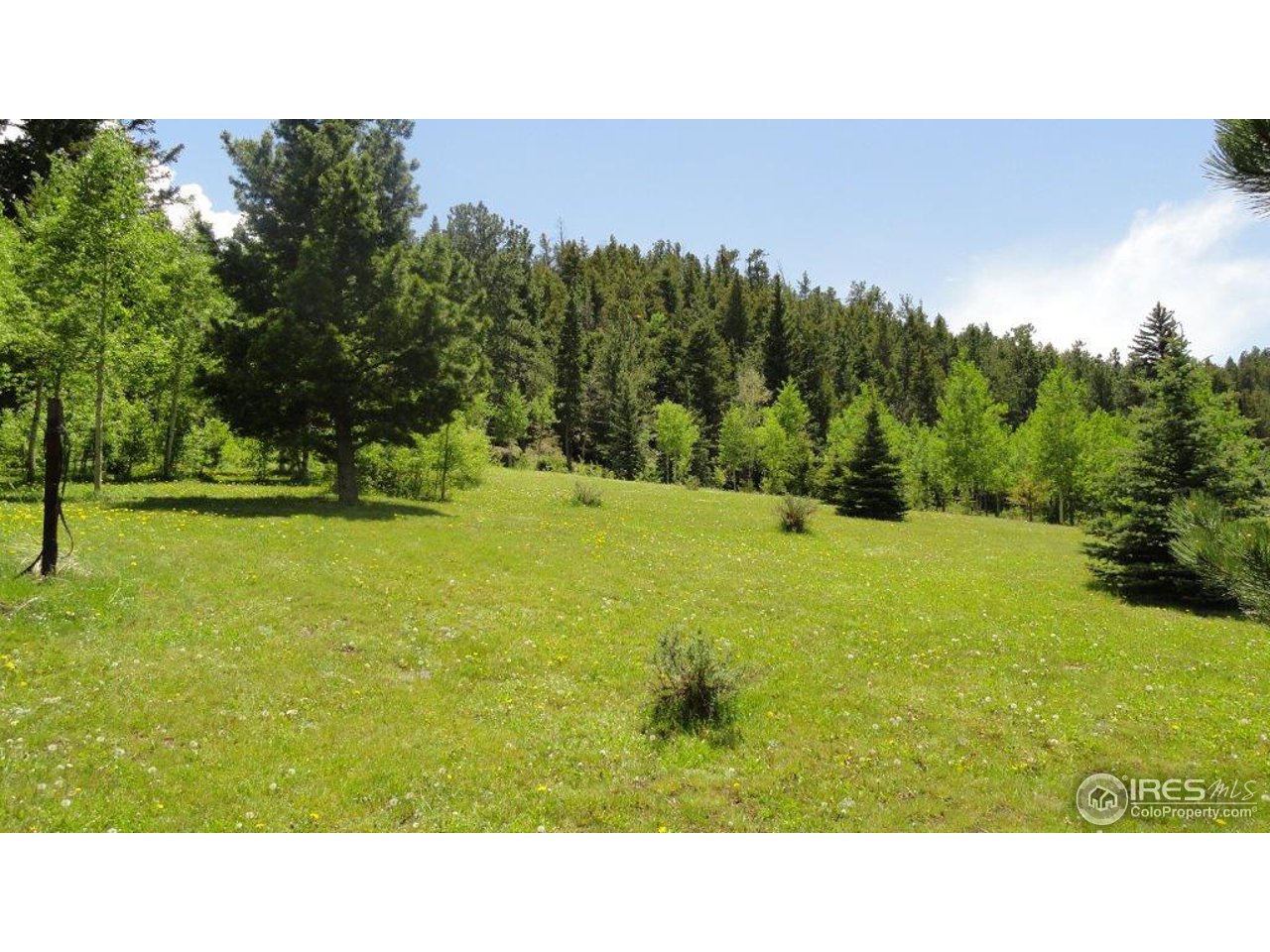 851 Beartrap Road Red Feather Lakes, CO 80545 - Photo 9 of 14 Gallery Image 9