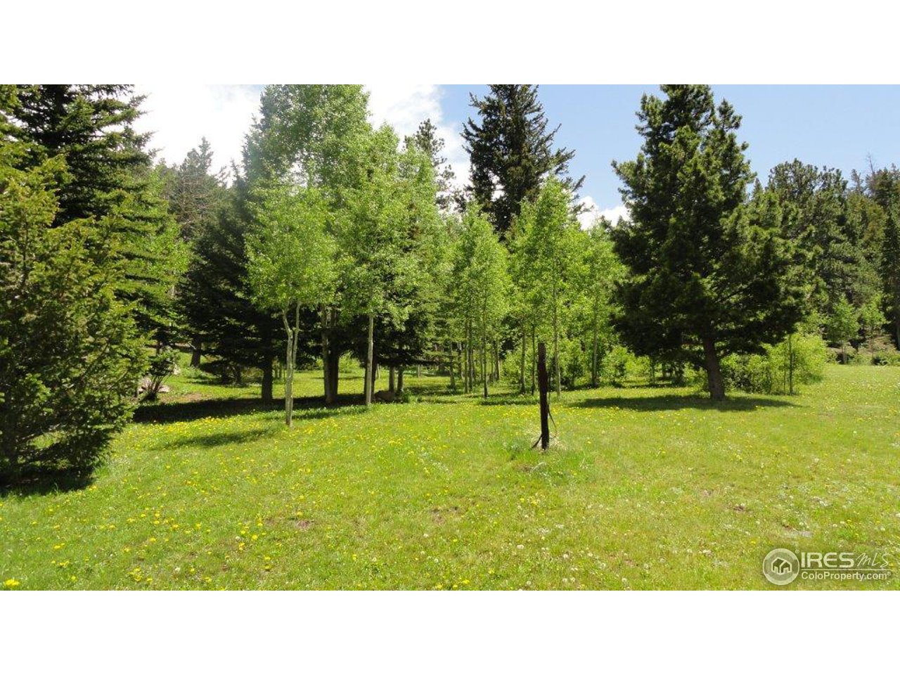 851 Beartrap Road Red Feather Lakes, CO 80545 - Photo 10 of 14 Gallery Image 10