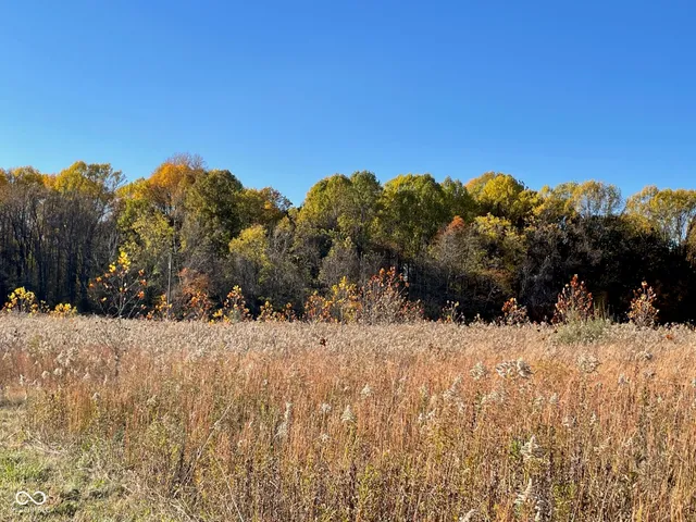 $300,000 | Lot 0 North Briarhopper Road, Monrovia, IN 46157