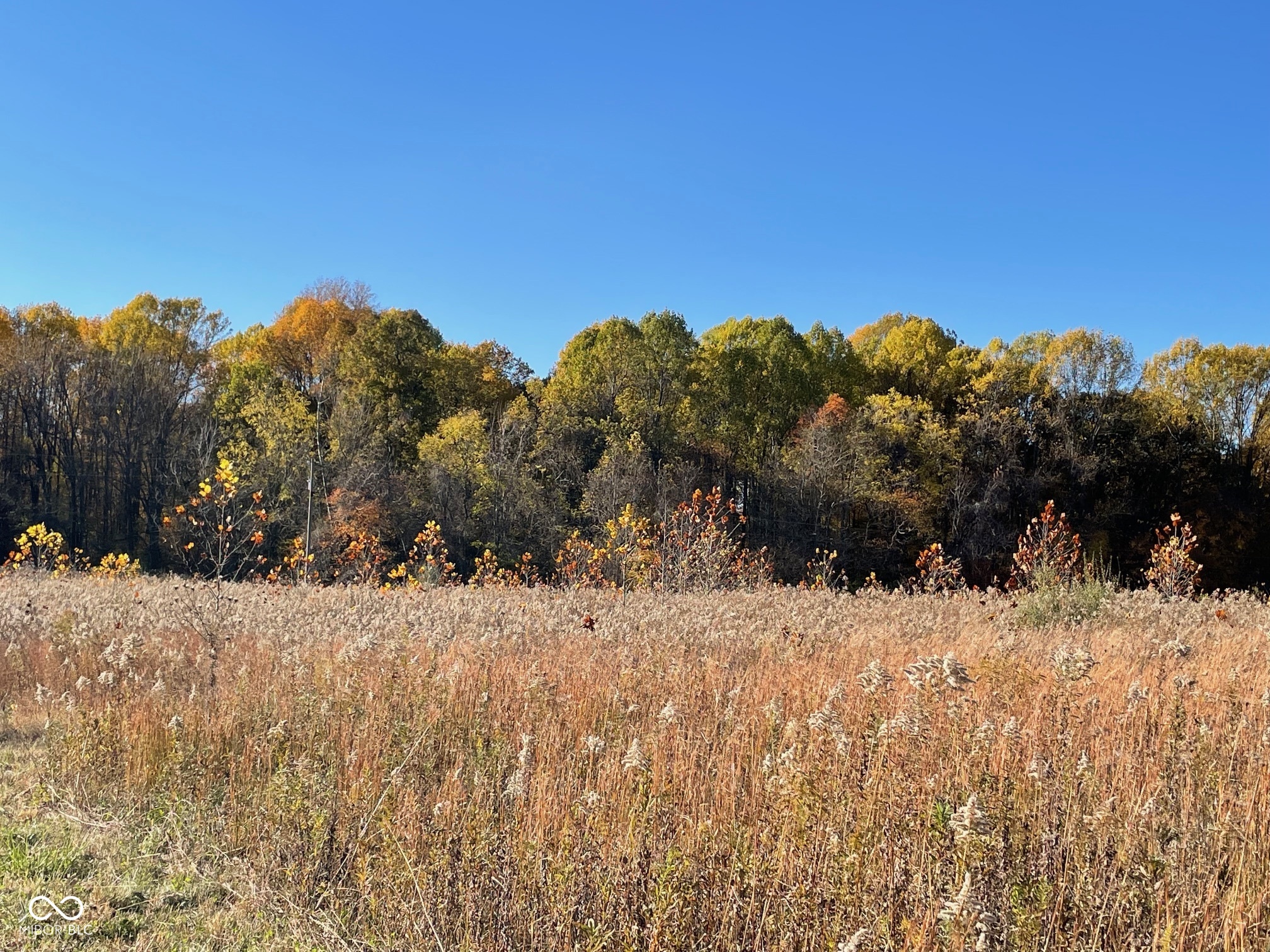 Lot 0 North Briarhopper Road Monrovia, IN 46157 - Photo 1 of 24