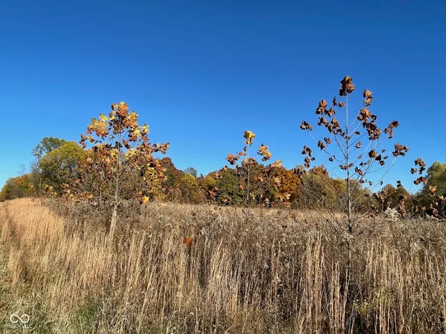 $300,000 | Lot 0 North Briarhopper Road, Monrovia, IN 46157