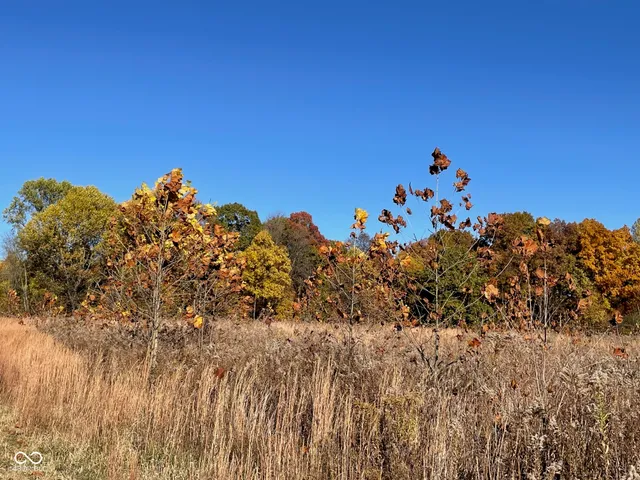 $300,000 | Lot 0 North Briarhopper Road, Monrovia, IN 46157