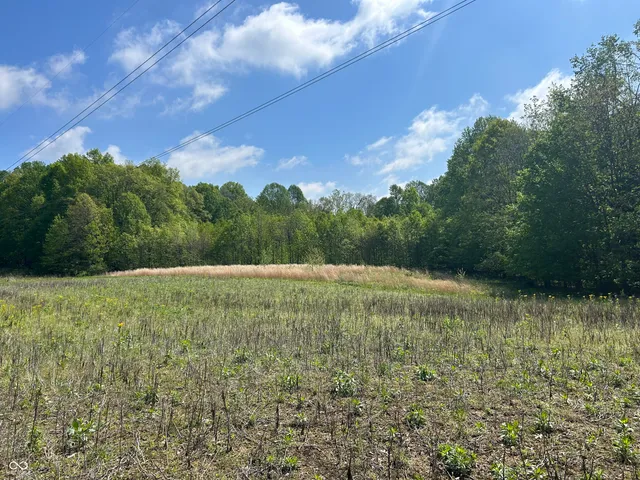 $300,000 | Lot 0 North Briarhopper Road, Monrovia, IN 46157
