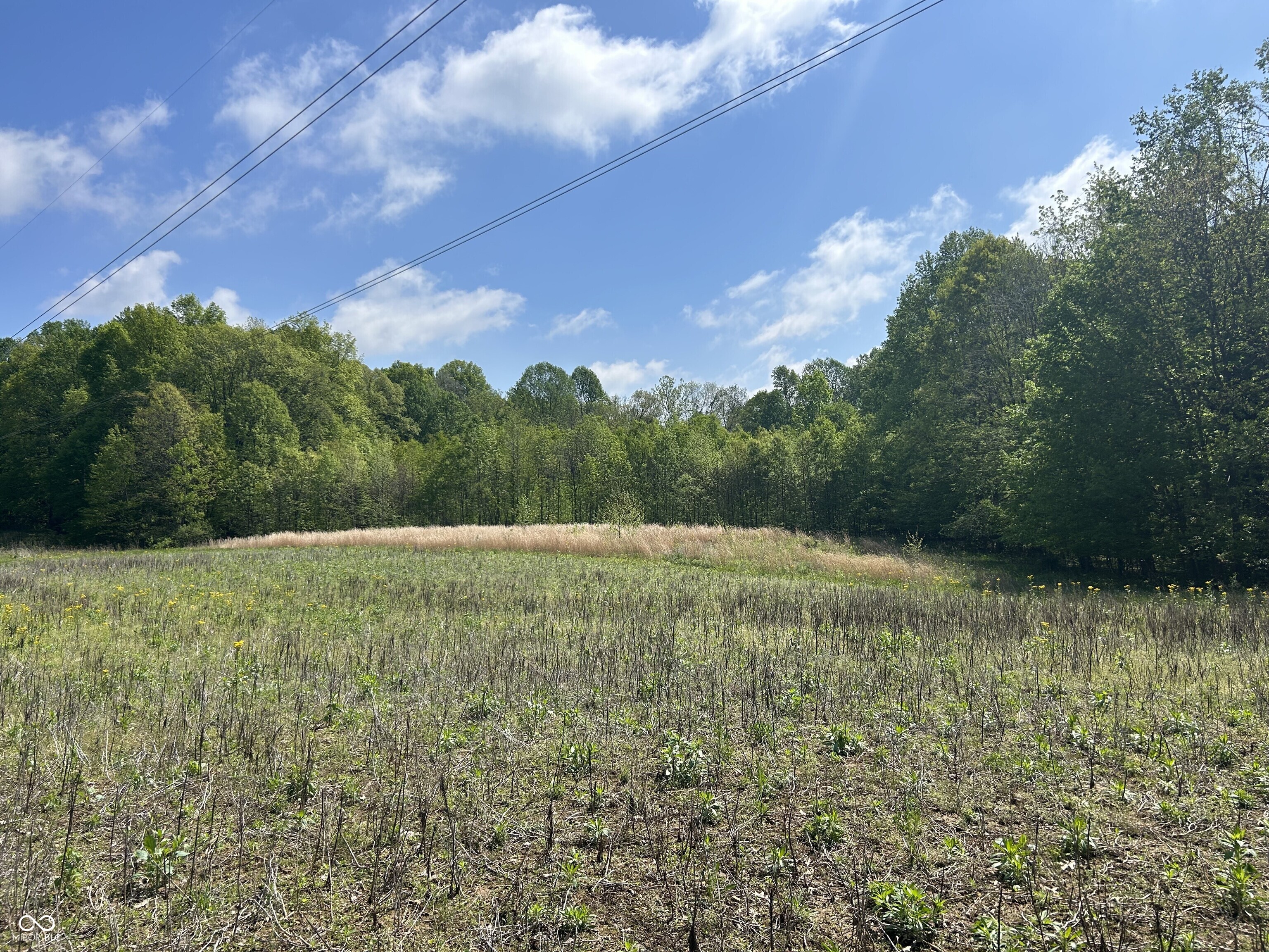 Lot 0 North Briarhopper Road Monrovia, IN 46157 - Photo 15 of 24