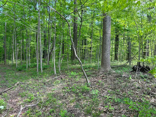 $300,000 | Lot 0 North Briarhopper Road, Monrovia, IN 46157