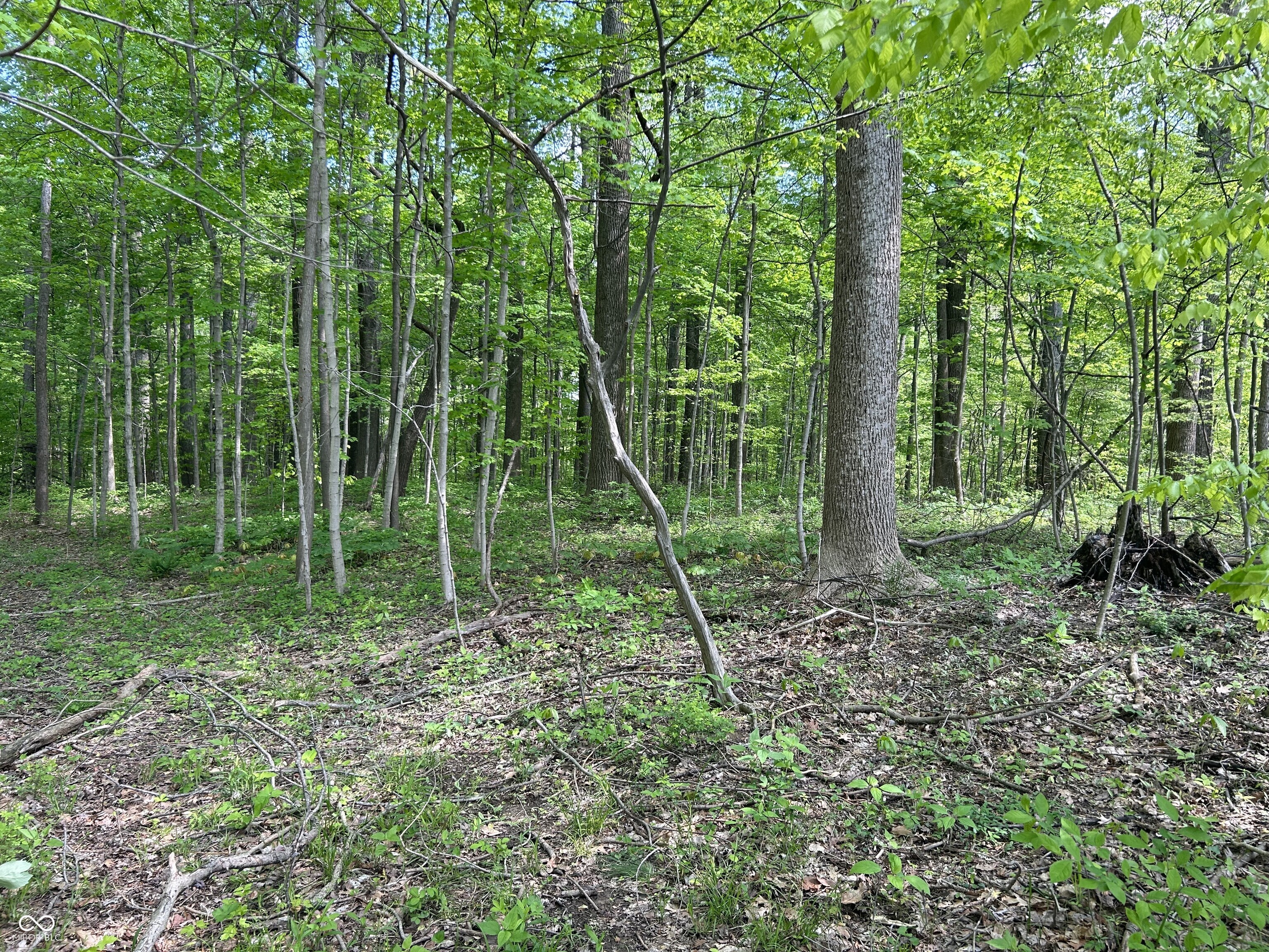 Lot 0 North Briarhopper Road Monrovia, IN 46157 - Photo 17 of 24