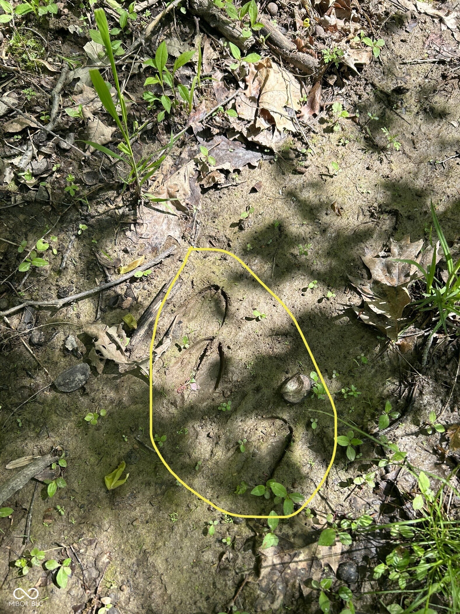 Lot 0 North Briarhopper Road Monrovia, IN 46157 - Photo 19 of 24