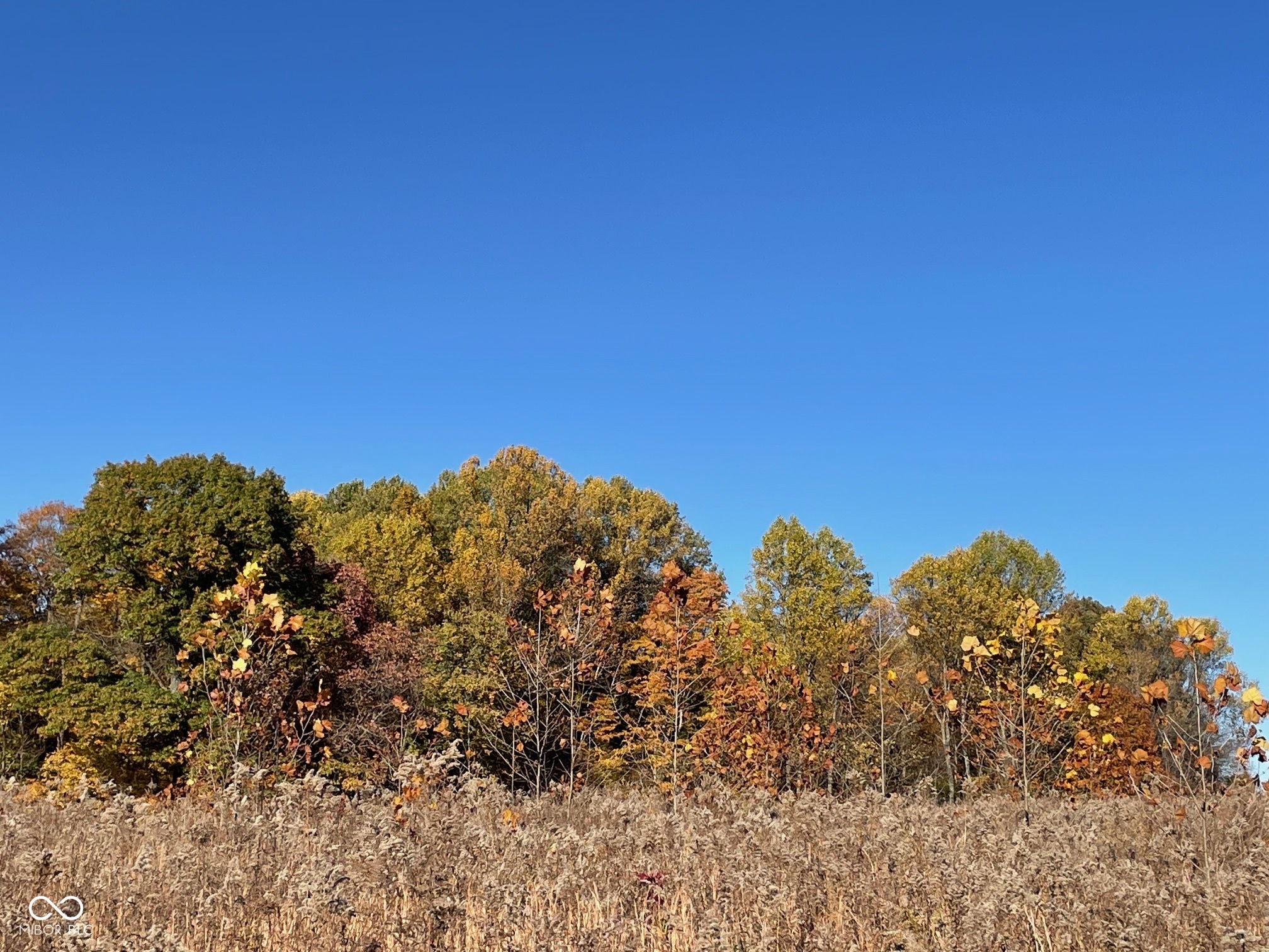 Lot 0 North Briarhopper Road Monrovia, IN 46157 - Photo 3 of 24