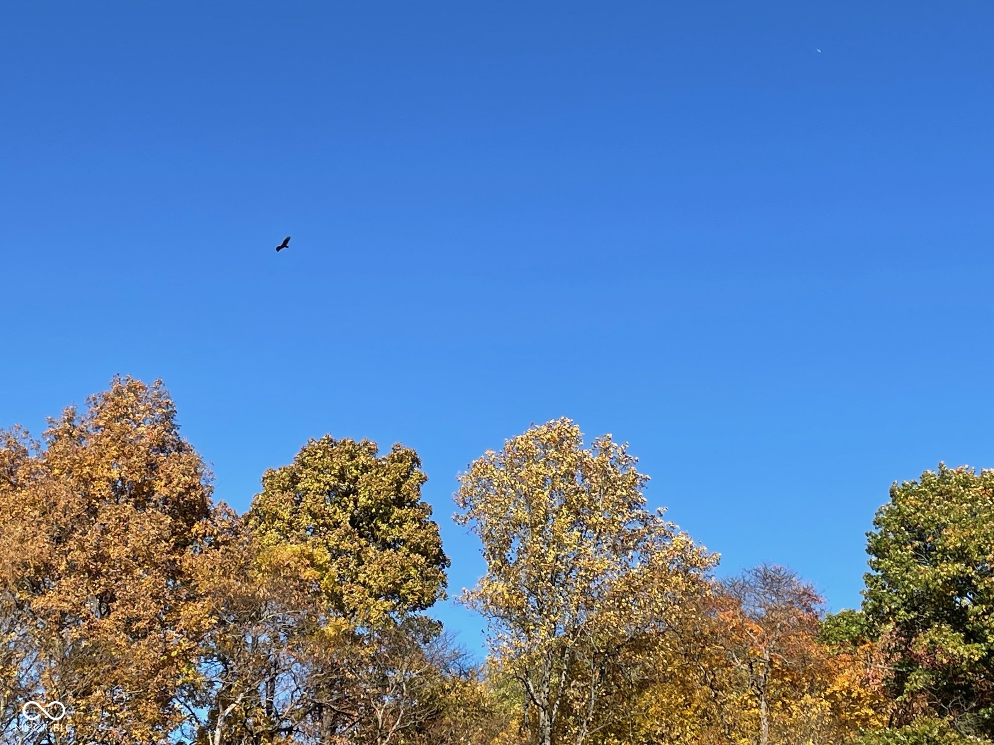 Lot 0 North Briarhopper Road Monrovia, IN 46157 - Photo 4 of 24