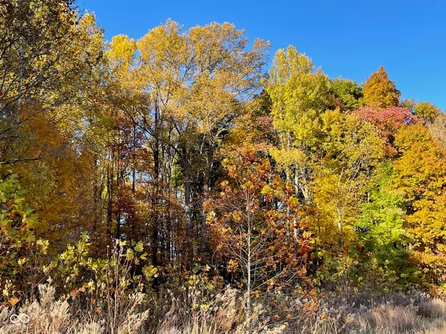 $300,000 | Lot 0 North Briarhopper Road, Monrovia, IN 46157