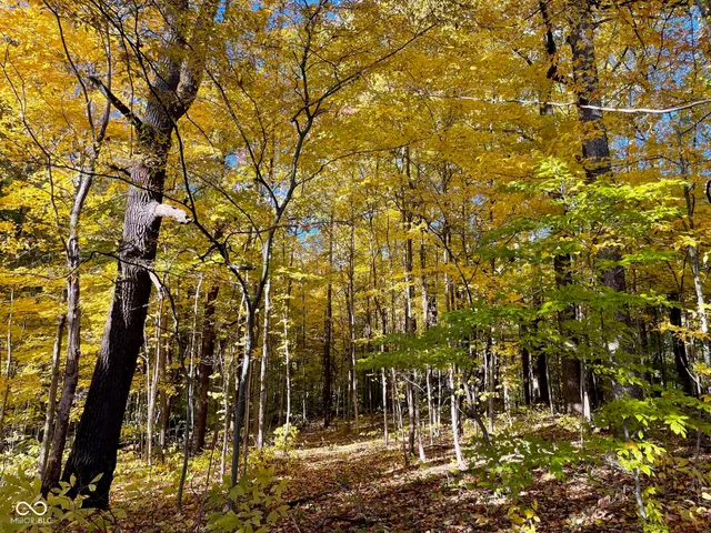 $300,000 | Lot 0 North Briarhopper Road, Monrovia, IN 46157