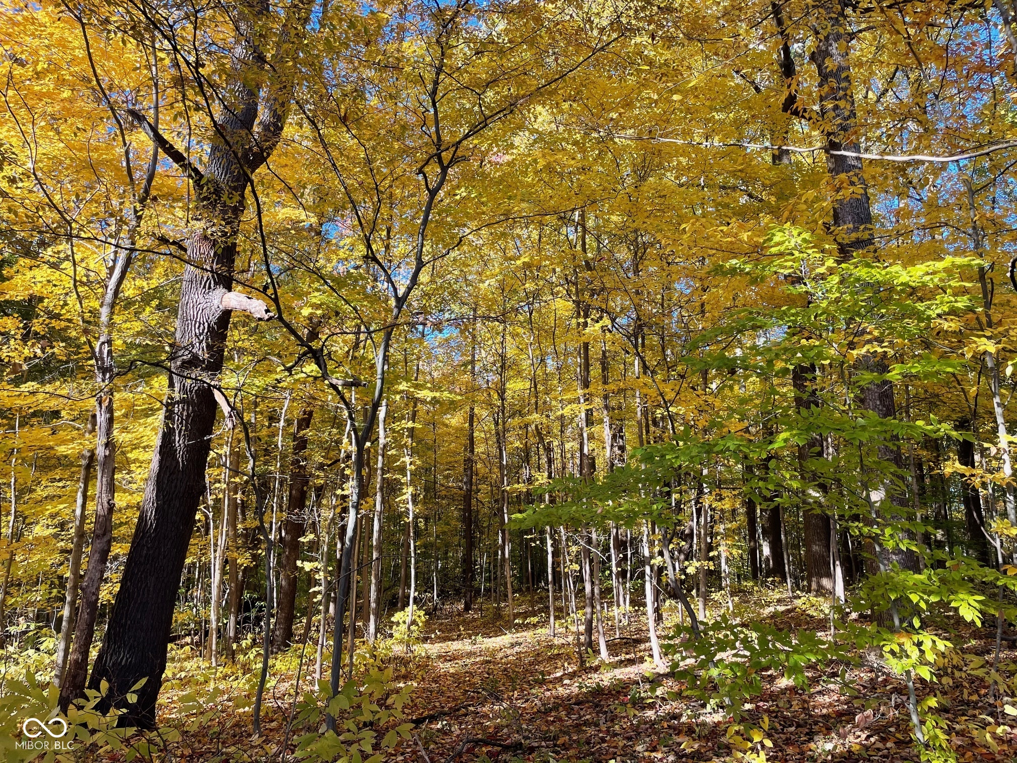 Lot 0 North Briarhopper Road Monrovia, IN 46157 - Photo 6 of 24