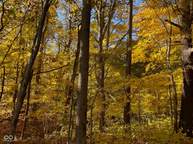 $300,000 | Lot 0 North Briarhopper Road, Monrovia, IN 46157