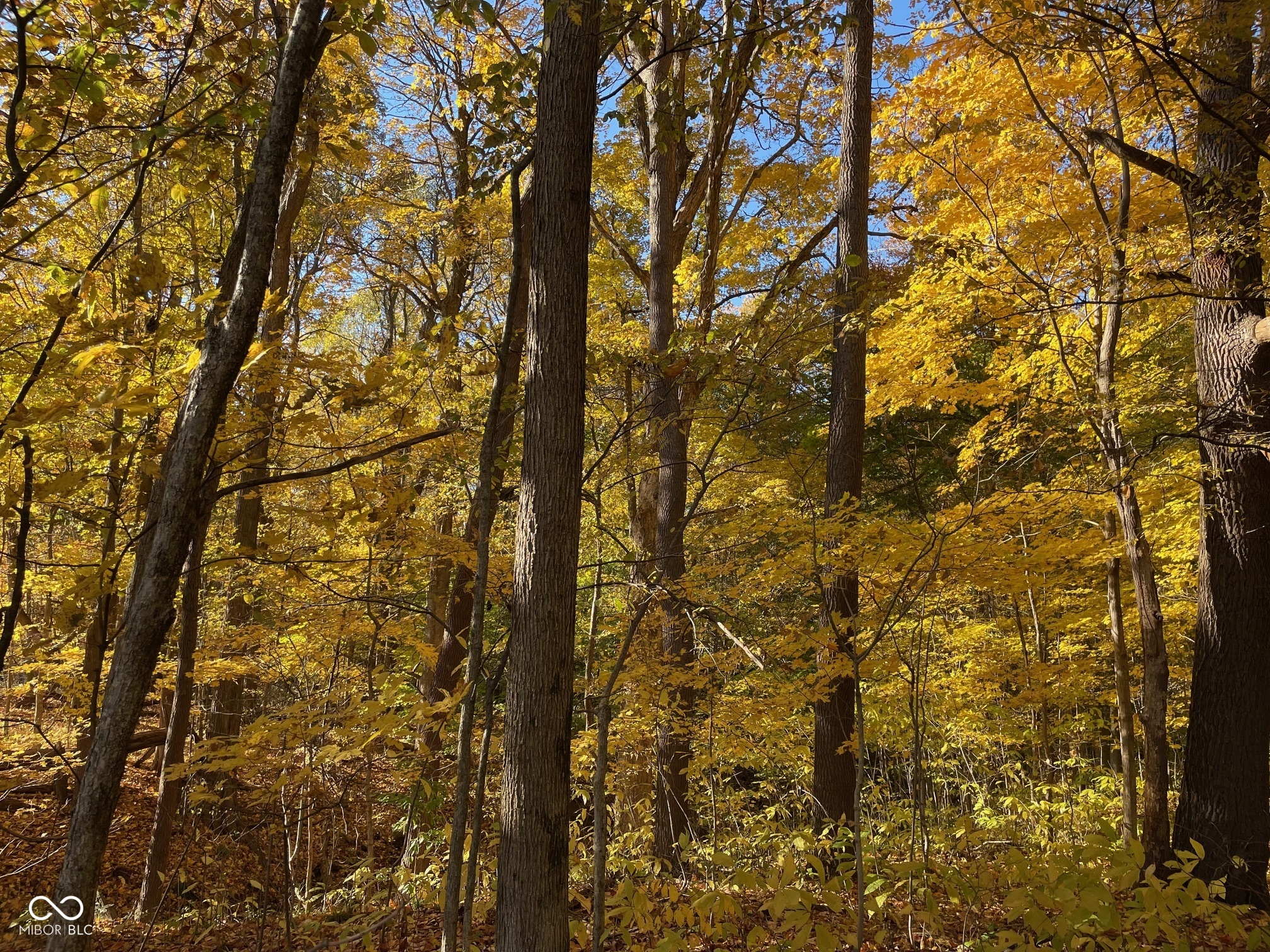 Lot 0 North Briarhopper Road Monrovia, IN 46157 - Photo 7 of 24