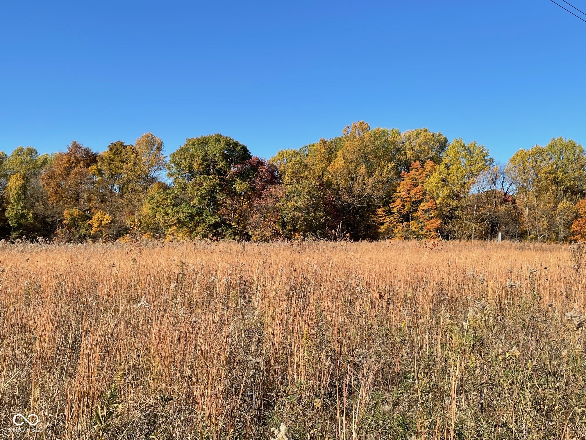 Lot 0 North Briarhopper Road Monrovia, IN 46157 - Photo 9 of 24