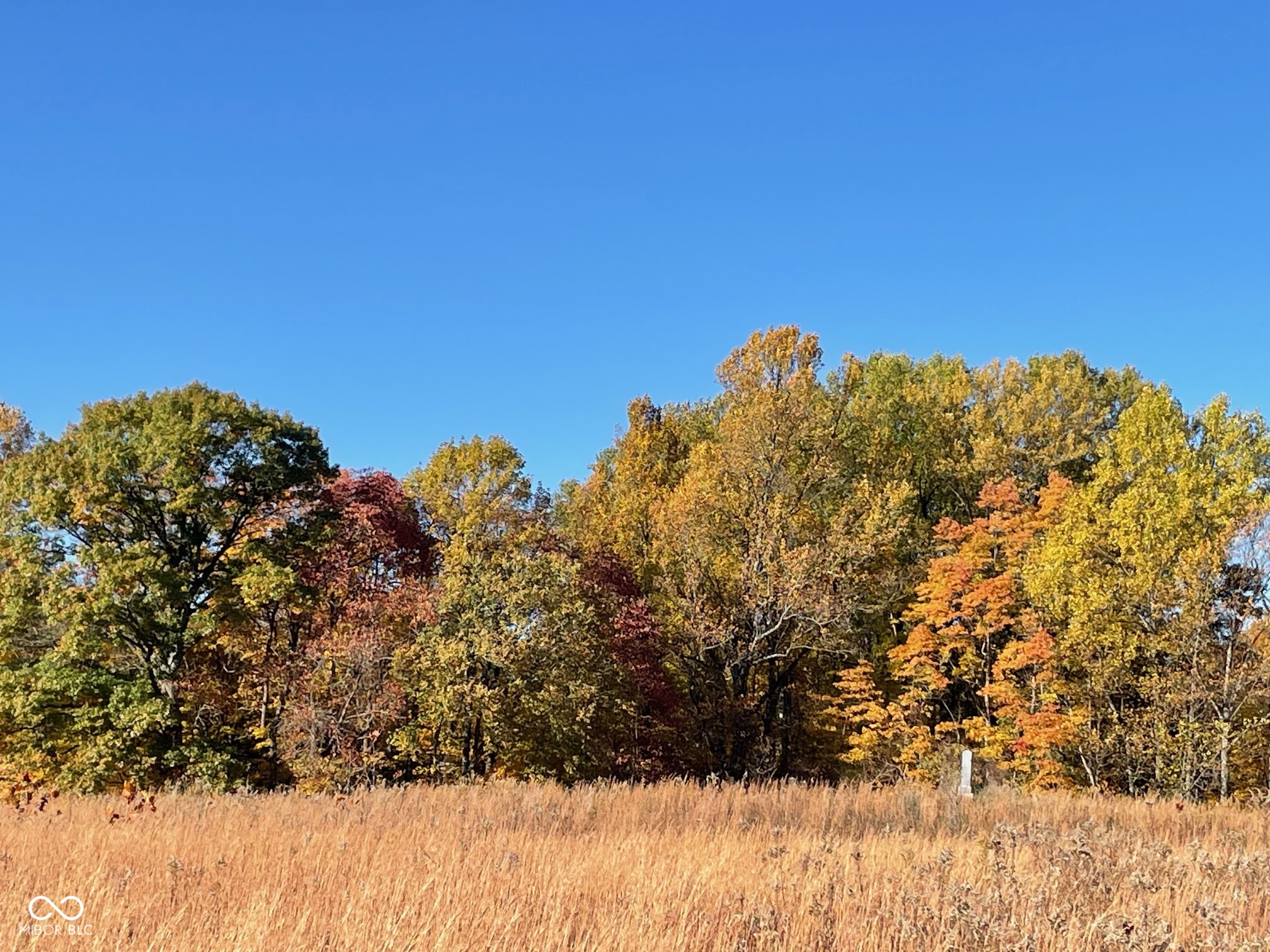 Lot 0 North Briarhopper Road Monrovia, IN 46157 - Photo 10 of 24